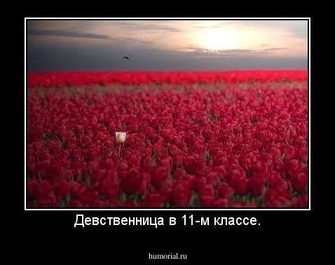 Девственница в 11-м классе.