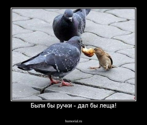 Были бы ручки - дал бы леща!