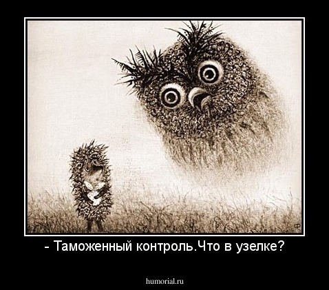 - Таможенный контроль.Что в узелке?