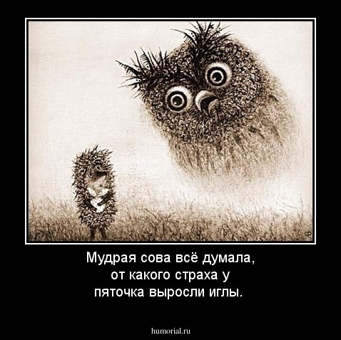Мудрая сова всё думала, от какого страха у пяточка выросли иглы.