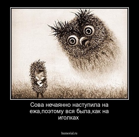 Сова нечаянно наступила на ежа,поэтому вся была,как на иголках