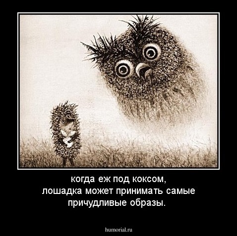 когда еж под коксом, лошадка может принимать самые причудливые образы.