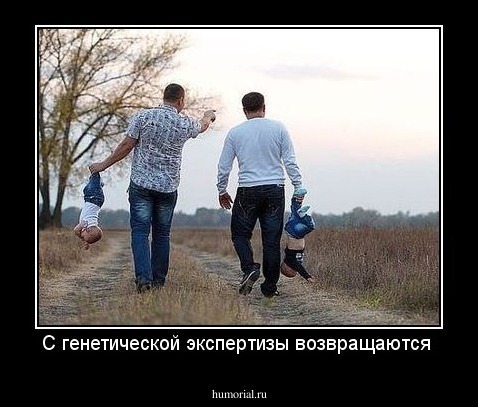 С генетической экспертизы возвращаются 