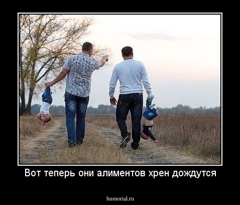 Вот теперь они алиментов хрен дождутся