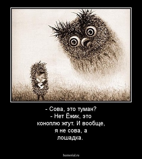 - Сова, это туман? - Нет Ёжик, это коноплю жгут. И вообще, я не сова, а лошадка.