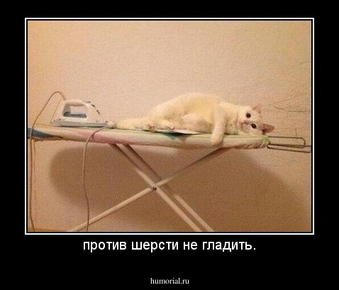 против шерсти не гладить.