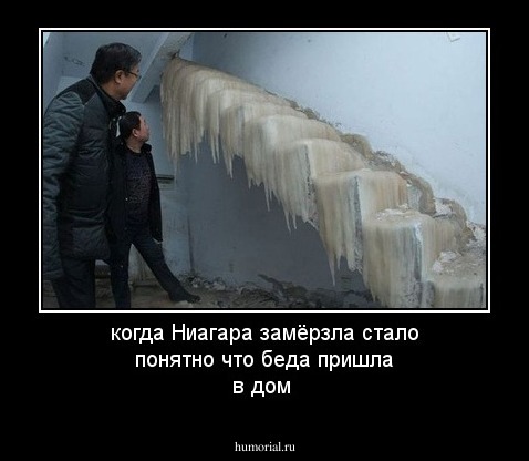 когда Ниагара замёрзла стало понятно что беда пришла в дом