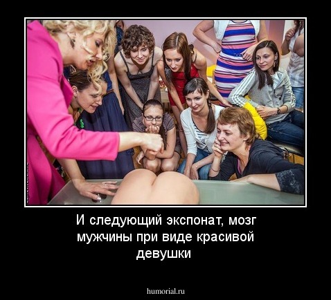 И следующий экспонат, мозг мужчины при виде красивой девушки