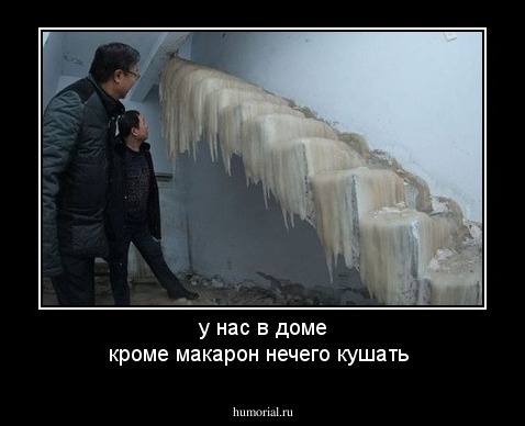  у нас в доме кроме макарон нечего  кушать 
