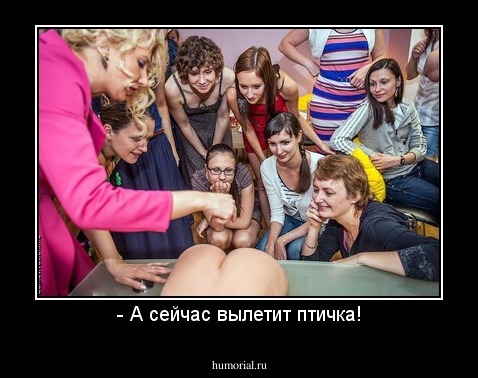 - А сейчас вылетит птичка!