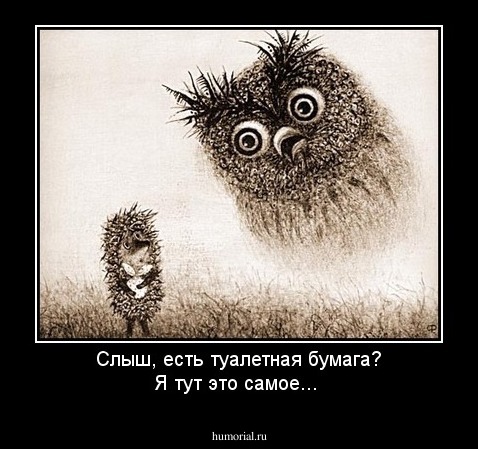 Слыш, есть туалетная бумага? Я тут это самое...