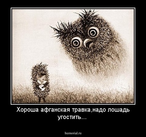 Хороша афганская травка,надо лошадь угостить...
