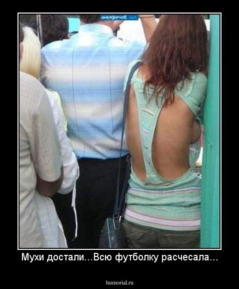 Мухи достали...Всю футболку расчесала...