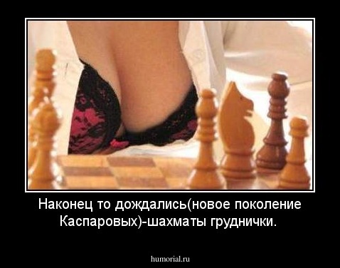 Наконец то дождались(новое поколение Каспаровых)-шахматы груднички.