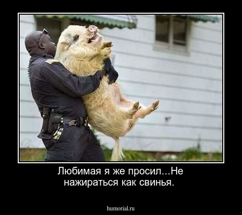 Любимая я же просил...Не нажираться как свинья.