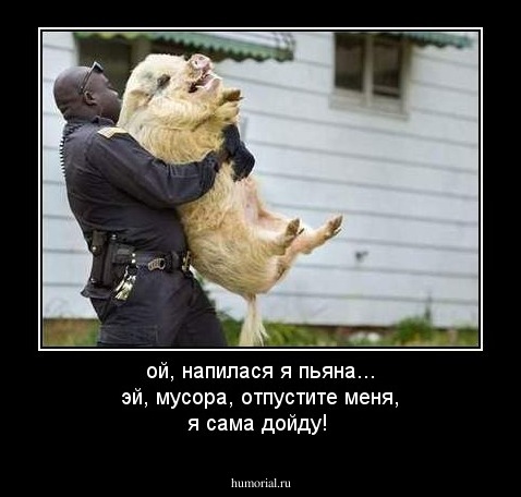 ой, напилася я пьяна...
эй, мусора, отпустите меня, я сама дойду!