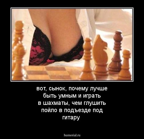 вот, сынок, почему лучше быть умным и играть в шахматы, чем глушить пойло в подъезде под гитару