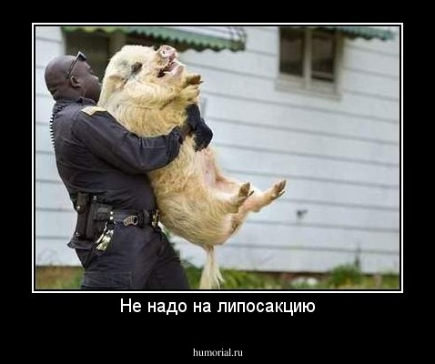 Не надо на липосакцию