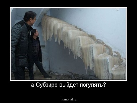 а Субзиро выйдет погулять?