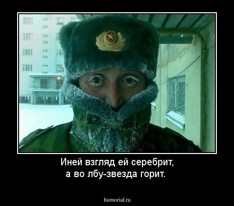 Иней  взгляд ей серебрит, а  во лбу-звезда горит.