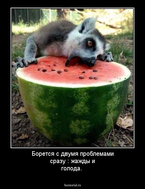 Борется с двумя проблемами сразу : жажды и  голода.