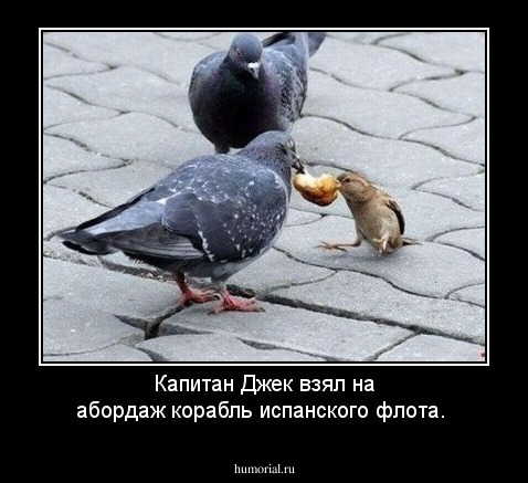 Капитан Джек взял на абордаж корабль испанского флота.