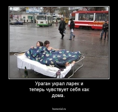 Ураган украл ларек и теперь  чувствует себя как дома.