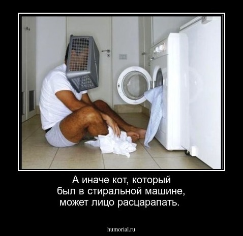 А иначе кот, который был в стиральной машине, может лицо расцарапать.