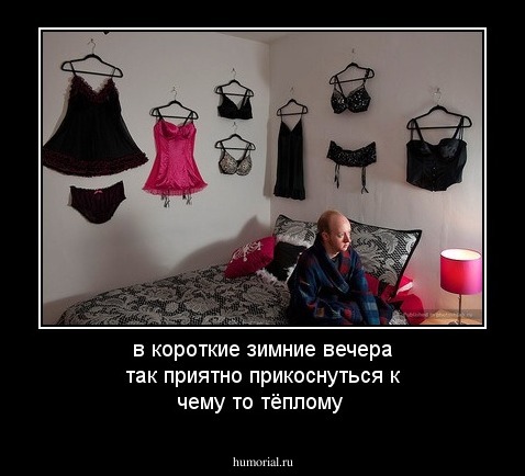 в короткие зимние вечера так приятно прикоснуться к чему то тёплому