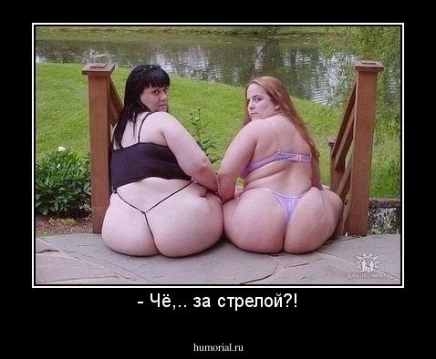 - Чё,.. за стрелой?!