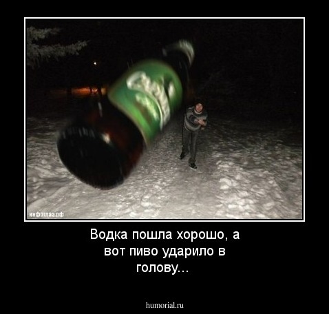  Водка пошла хорошо, а вот пиво ударило в голову... 