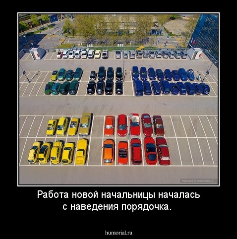Работа новой начальницы началась с наведения порядочка. 