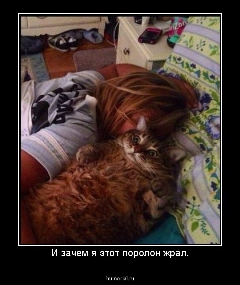 И зачем я этот поролон жрал.