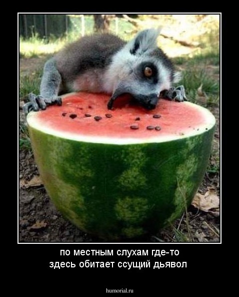 по местным слухам где-то здесь обитает ссущий дьявол