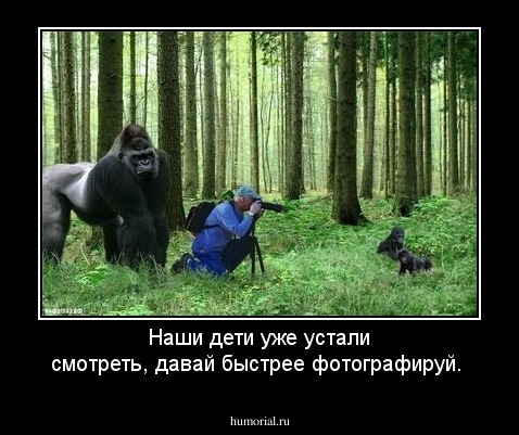 Наши дети уже устали смотреть, давай быстрее фотографируй.