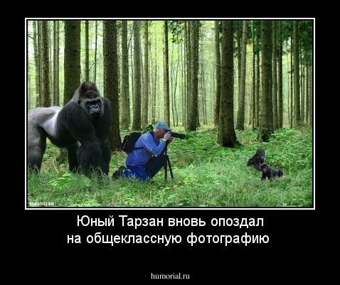 Юный Тарзан вновь опоздал на общеклассную фотографию 
