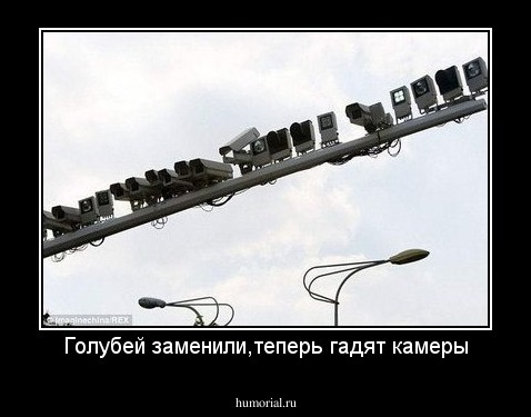 Голубей заменили,теперь гадят камеры