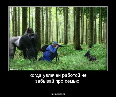 когда увлечен работой не забывай про семью 