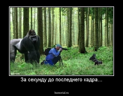 За секунду до последнего кадра...