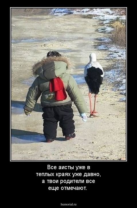 Все  аисты уже в теплых краях уже давно, а твои родители все еще отмечают.