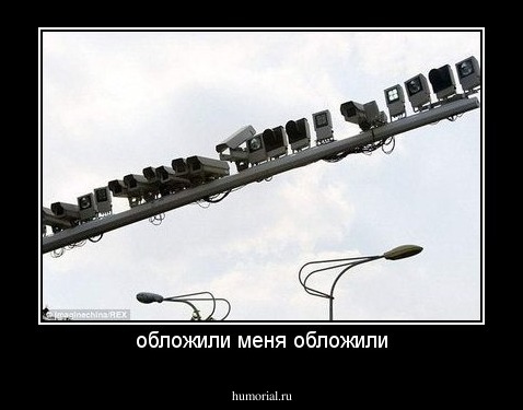 обложили меня обложили