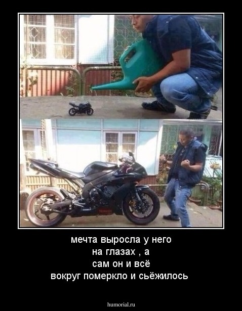 мечта выросла у него на глазах , а сам он и всё вокруг померкло и сьёжилось