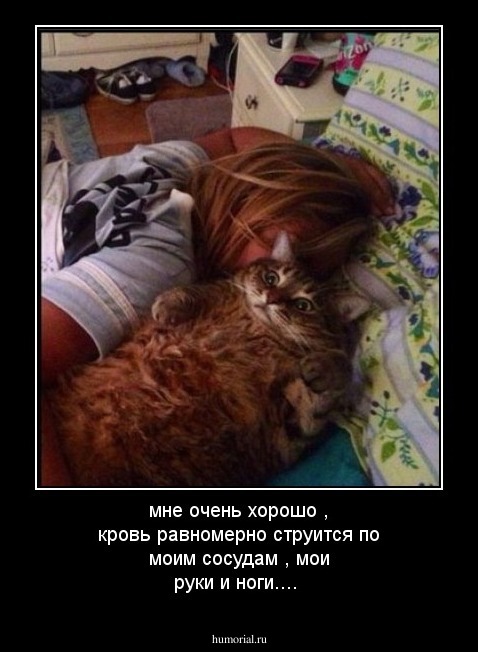 мне очень хорошо , кровь равномерно струится по моим сосудам , мои руки и ноги....