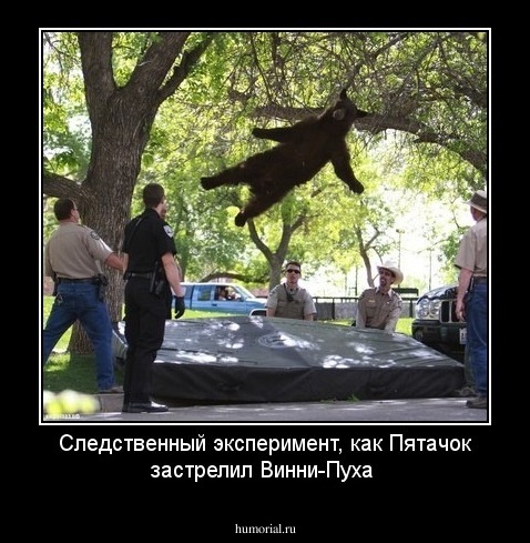 Следственный эксперимент, как Пятачок застрелил Винни-Пуха