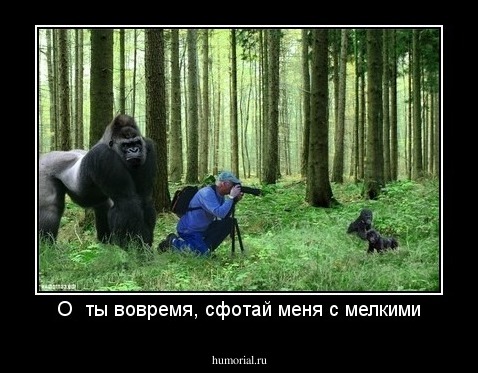 О  ты вовремя, сфотай меня с мелкими
