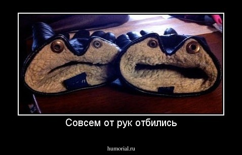 Совсем от рук отбились