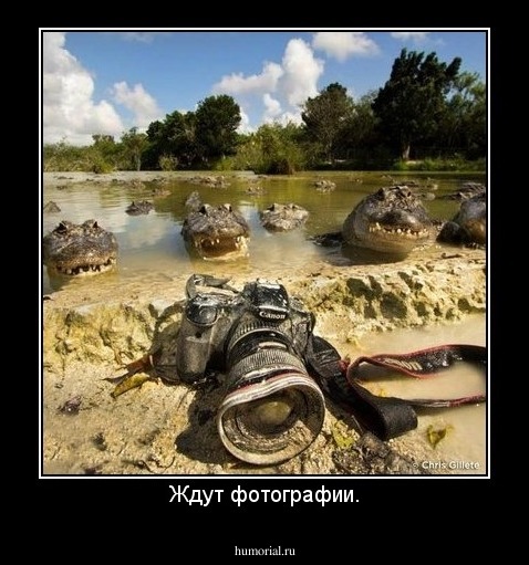 Ждут фотографии.