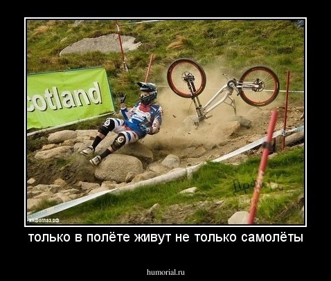 только в полёте живут не только самолёты