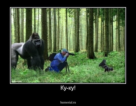Ку-ку!
