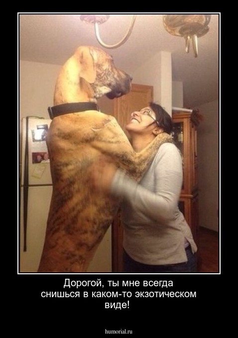 Дорогой, ты мне всегда снишься в каком-то экзотическом виде!